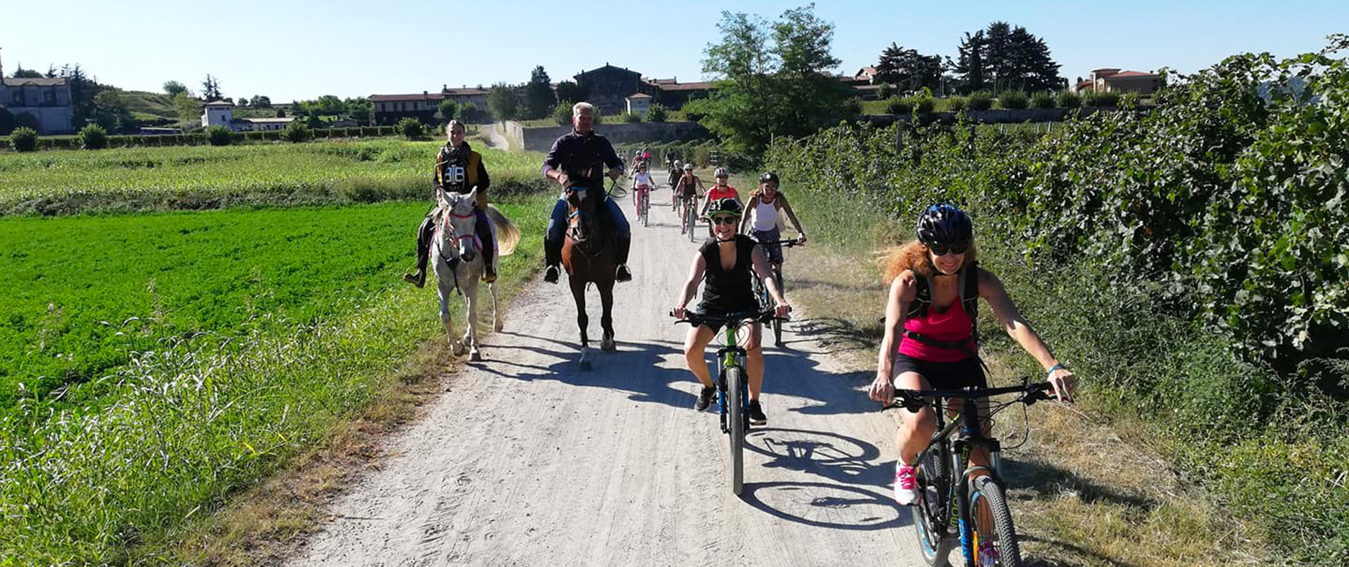 Franciacorta Bike Tour - Servizi