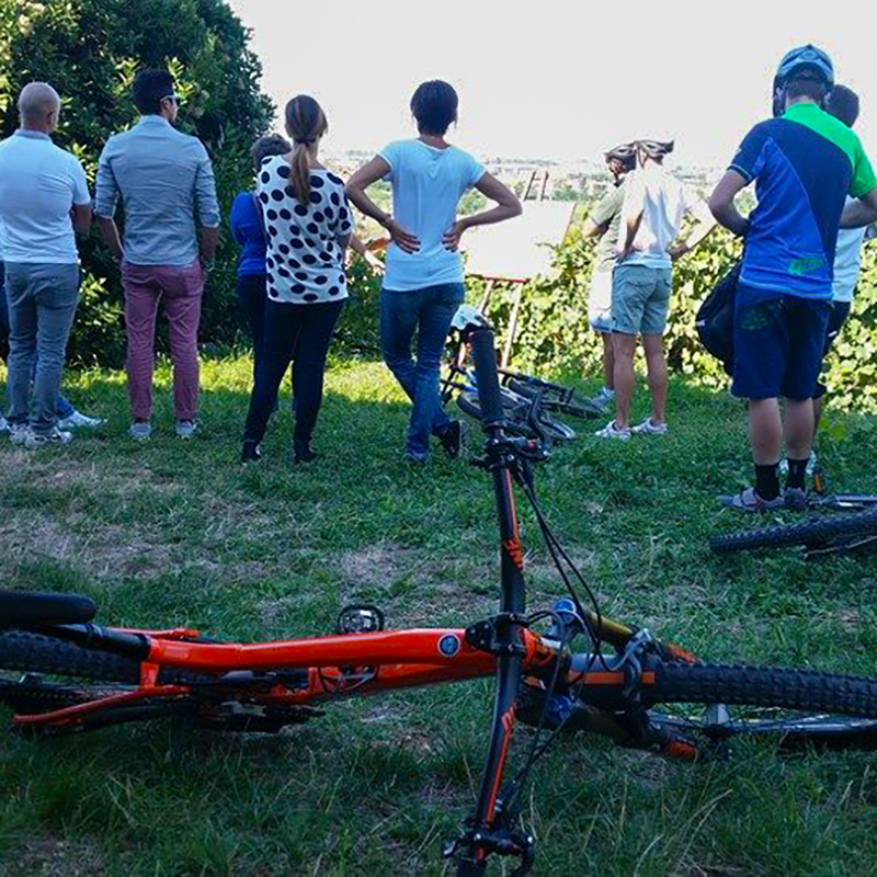 Eventi e attività per team building